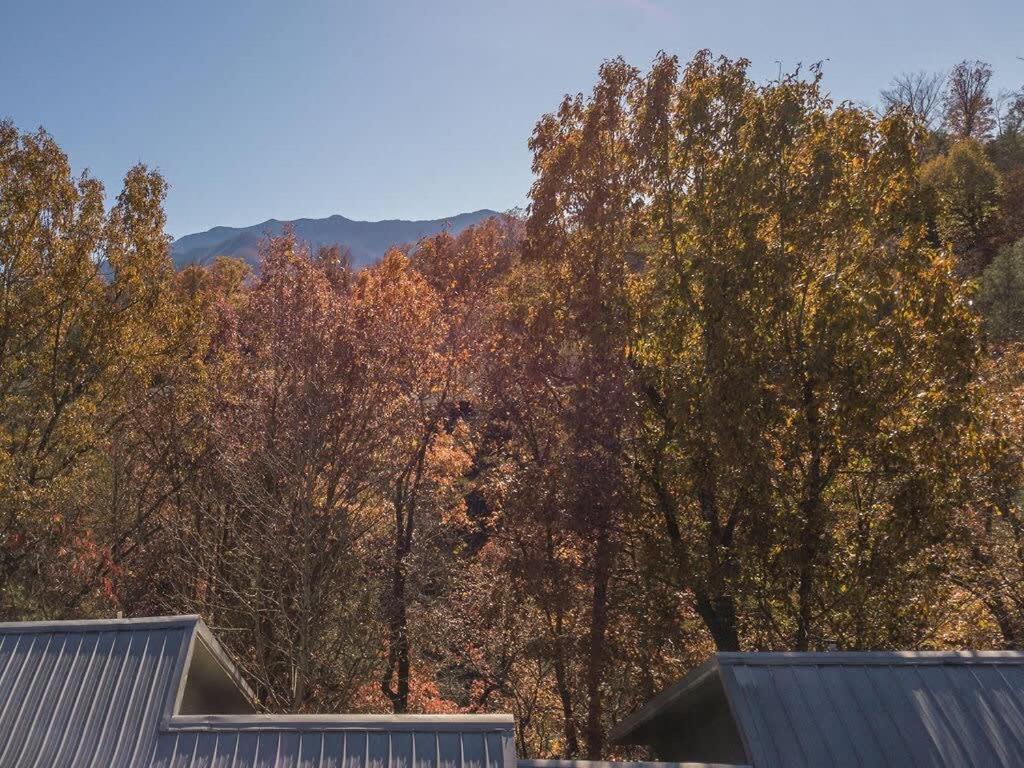 Sasquatch Lodge E Sleeps 13 Gatlinburg Dış mekan fotoğraf